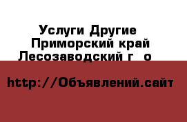 Услуги Другие. Приморский край,Лесозаводский г. о. 